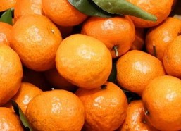 娱乐吃瓜酱砂糖橘,揭秘娱乐圈甜蜜背后的酸辣故事