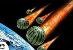 吃瓜爆料里朱雀是谁,揭秘吃瓜爆料中的神秘角色